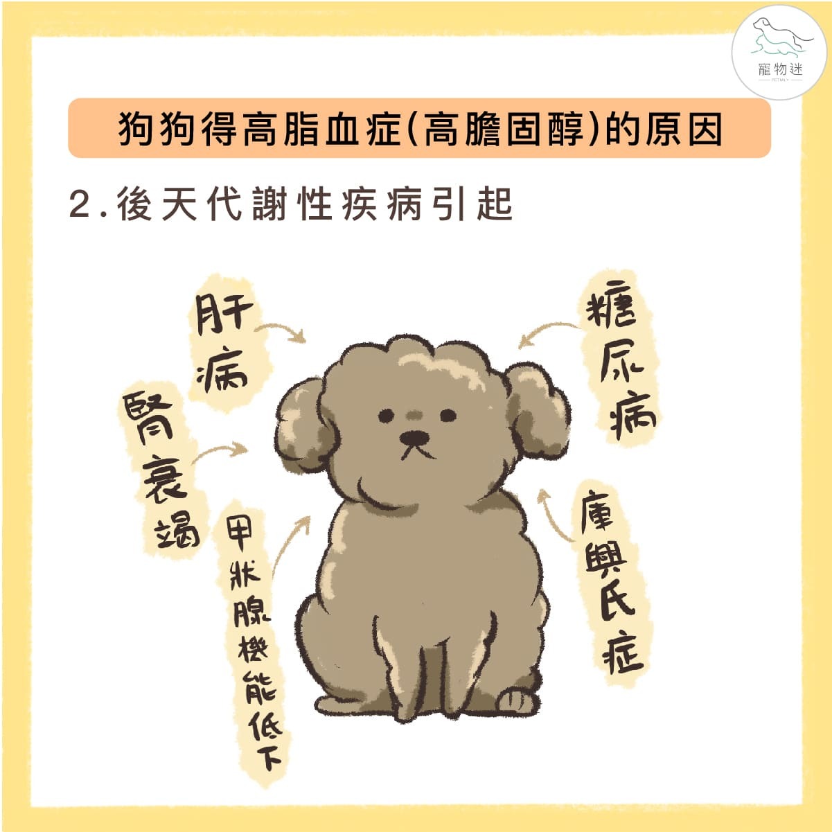 狗狗高膽固醇的後天疾病影響