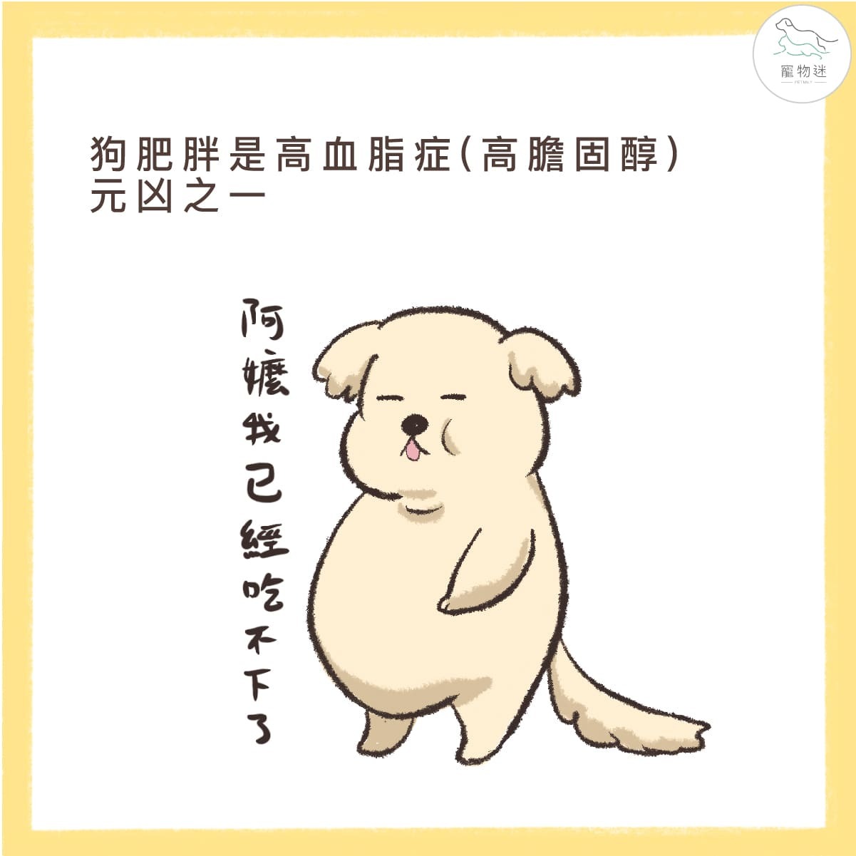 狗狗高膽固醇（得高血脂症）怎麼辦？