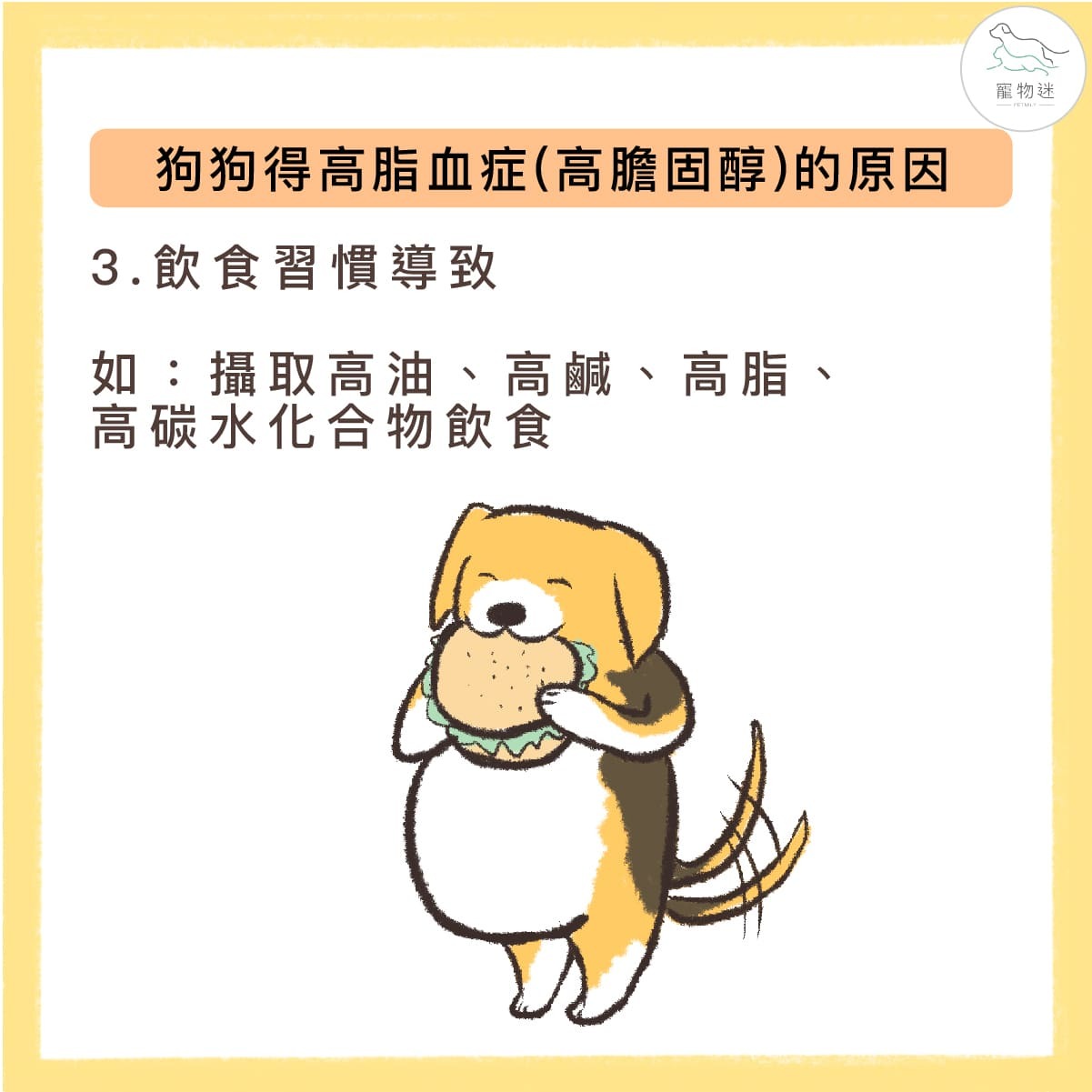 飲食習慣導致高血脂症