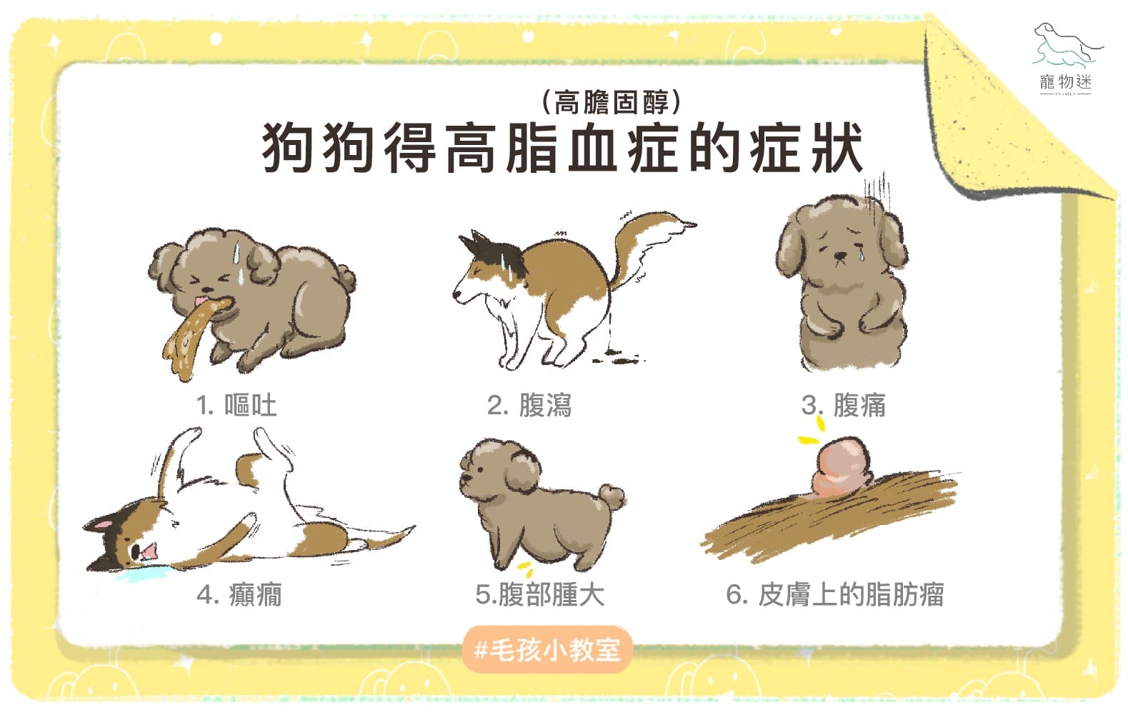 狗狗高膽固醇（得高血脂症）的六大症狀