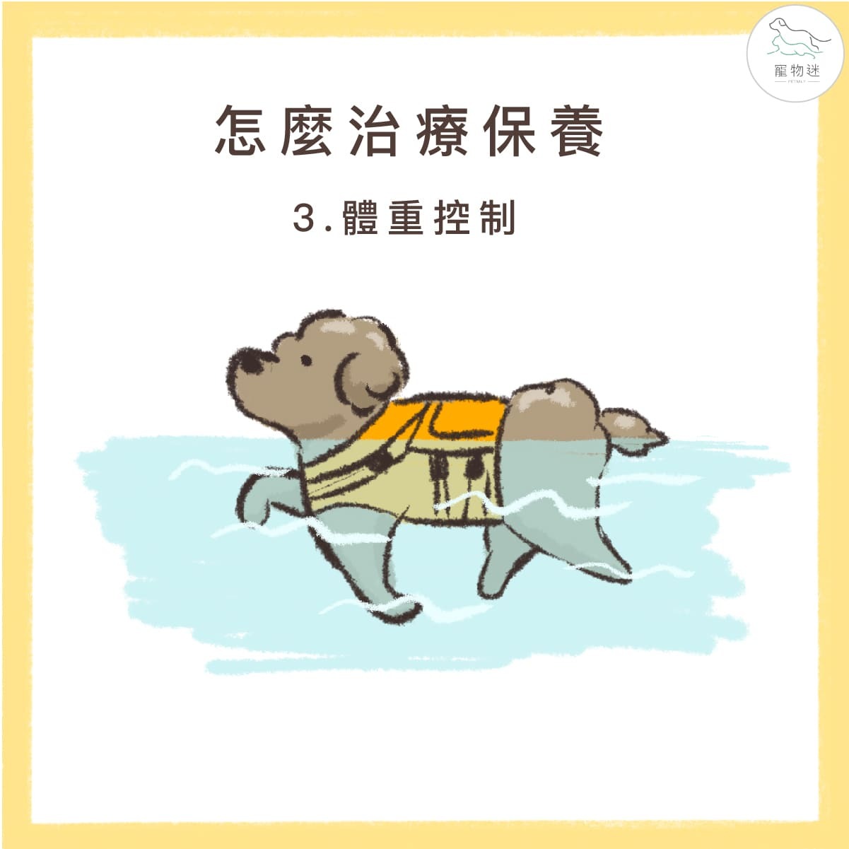 狗狗高膽固醇做體重控制