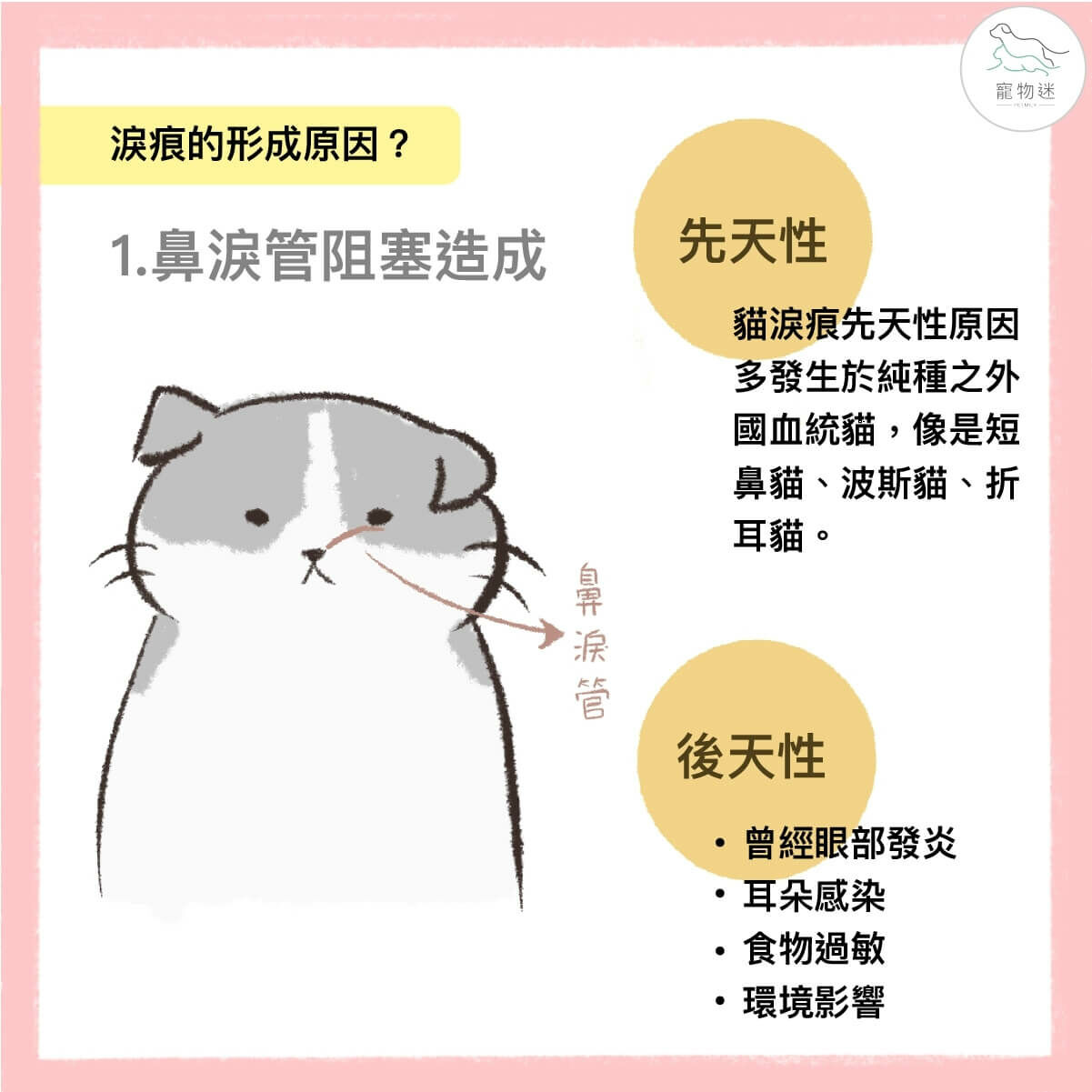 貓淚痕先天性原因