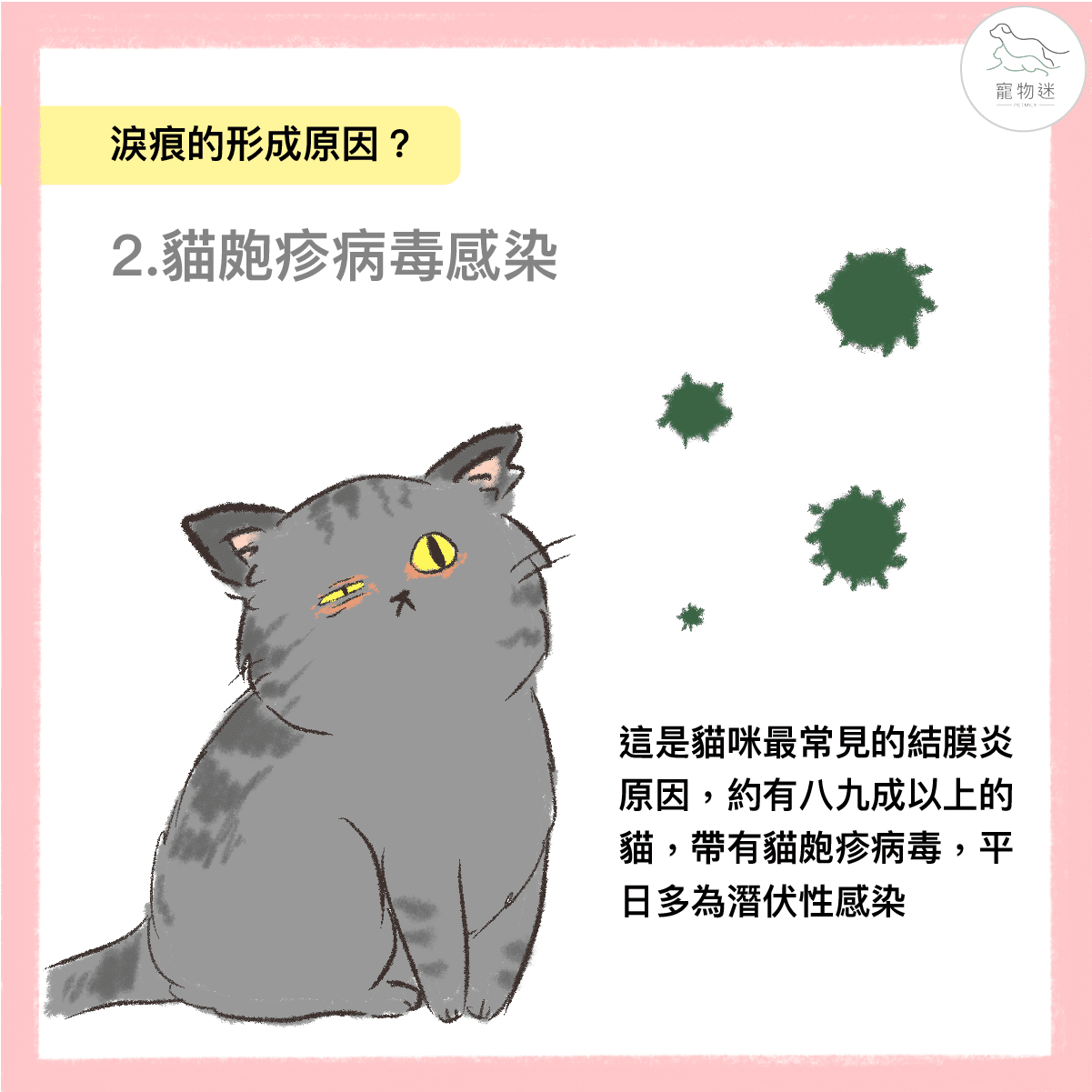 貓皰疹病毒感染