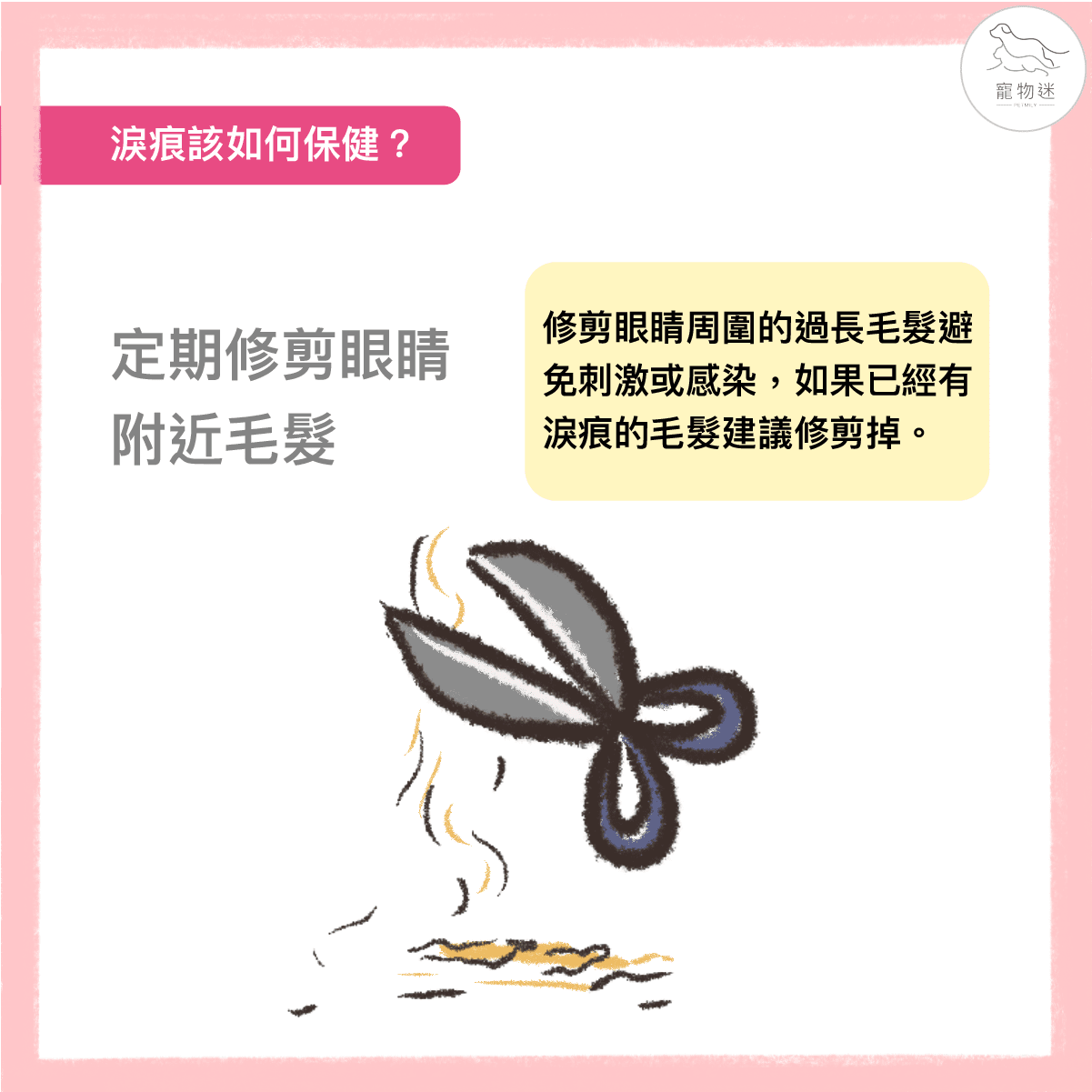 定期修剪眼睛附近的毛髮