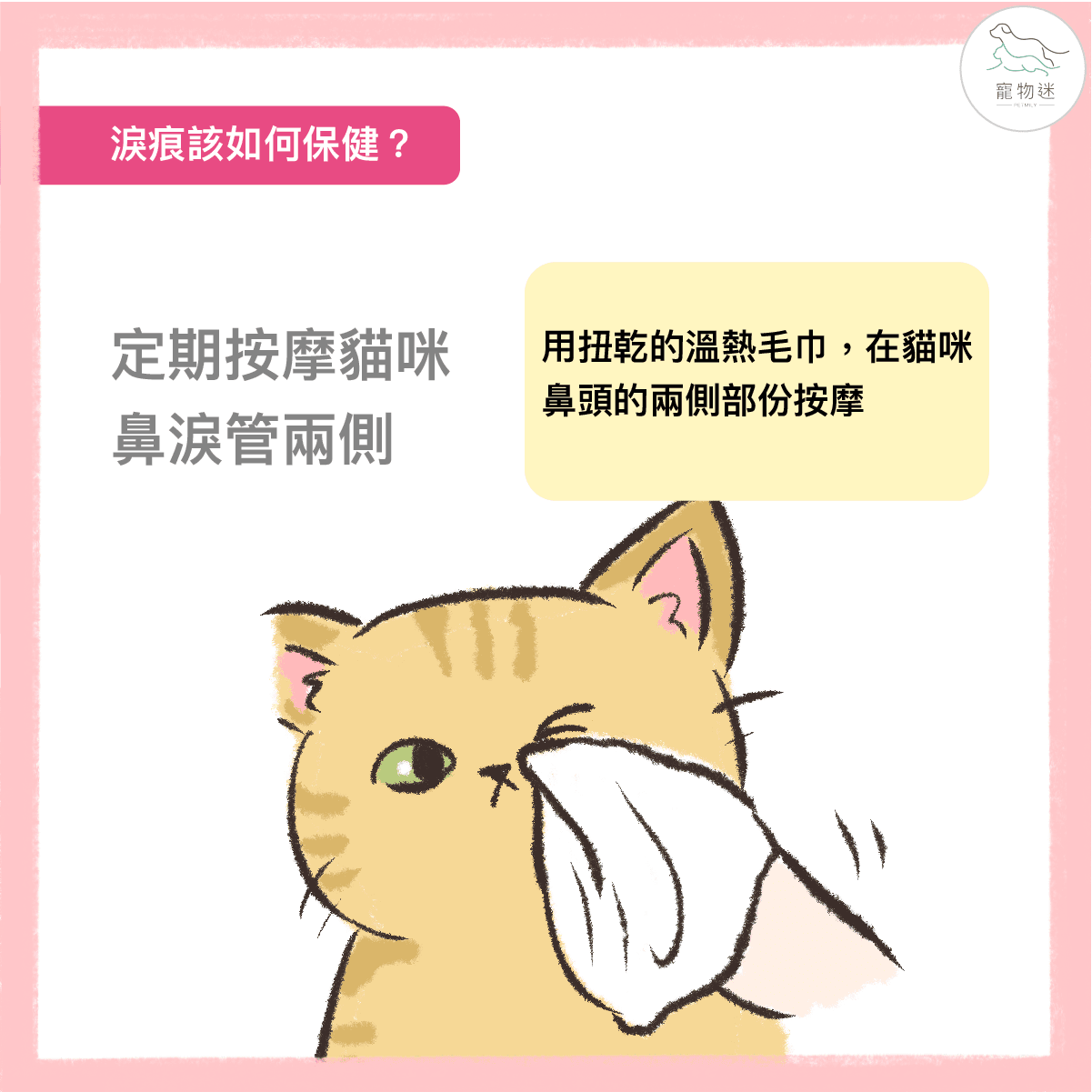 定期按摩貓咪鼻淚管兩側