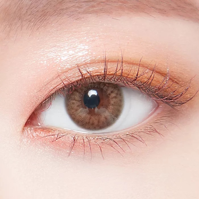 Lenstown Lighly Pure 1 day(Brown)20片