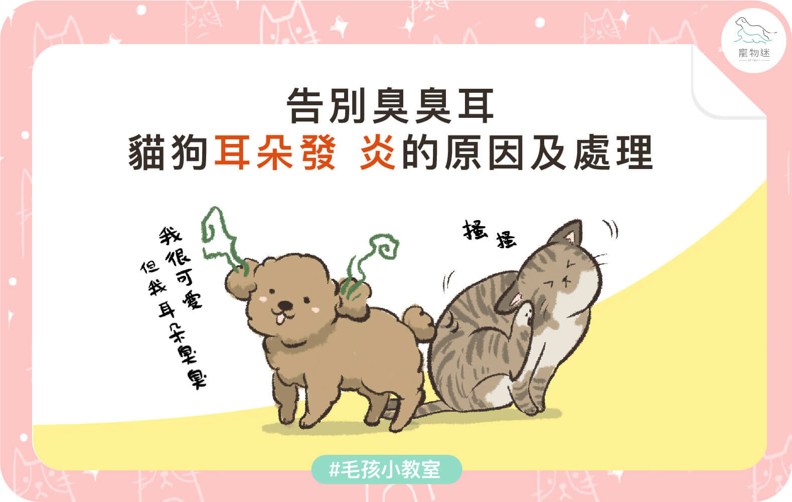 貓狗常見的３大耳炎原因
