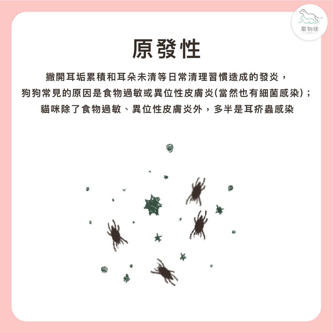 原發性外耳炎