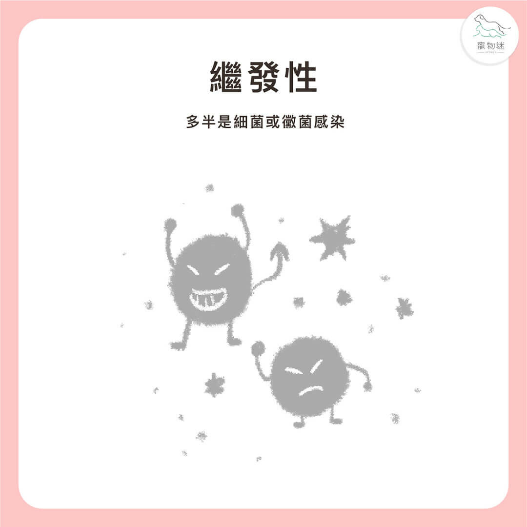繼發性外耳炎