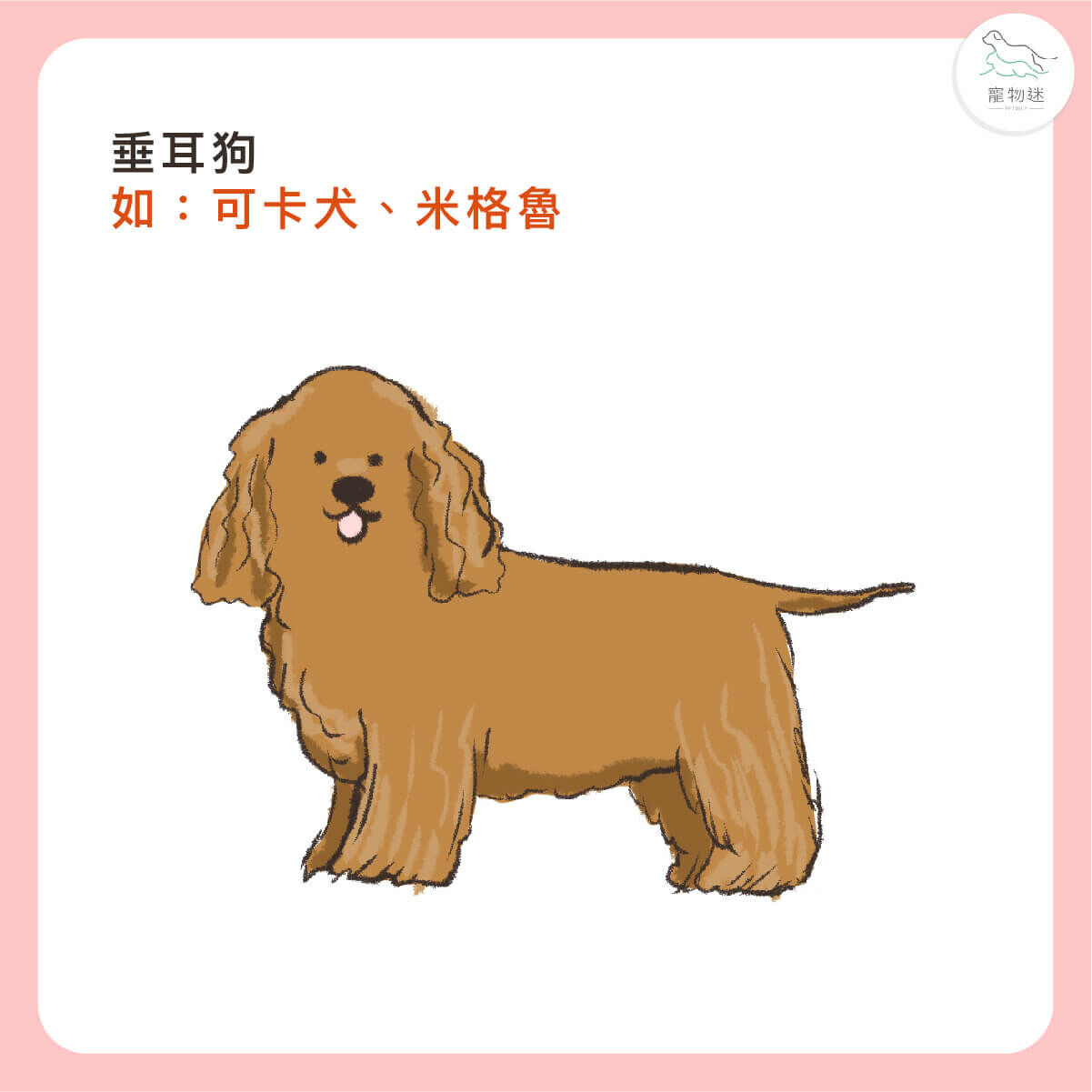 重耳犬種