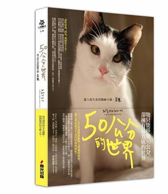 進入我生命中的腦麻小貓