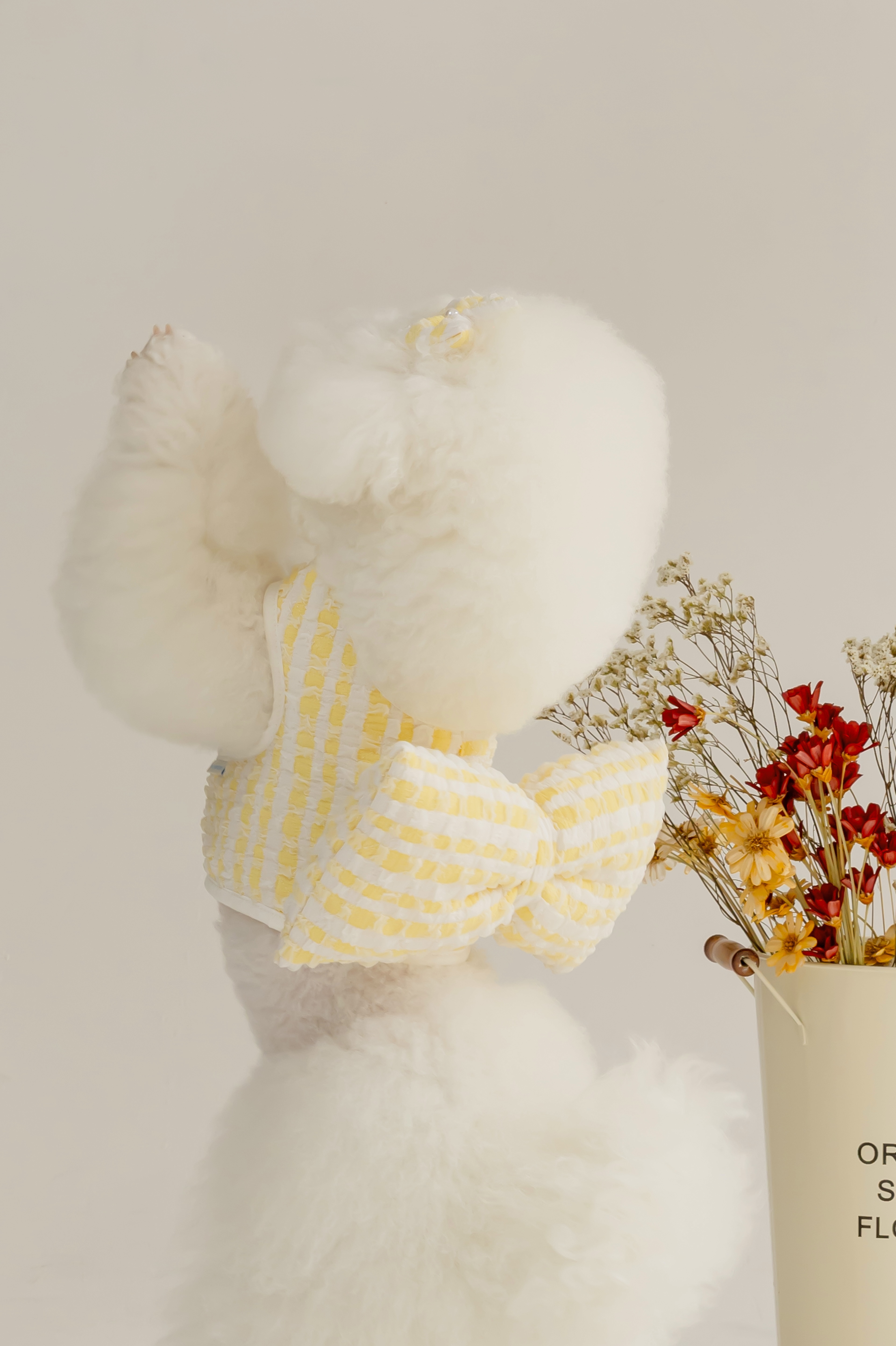 多巴胺蝴蝶結胸背