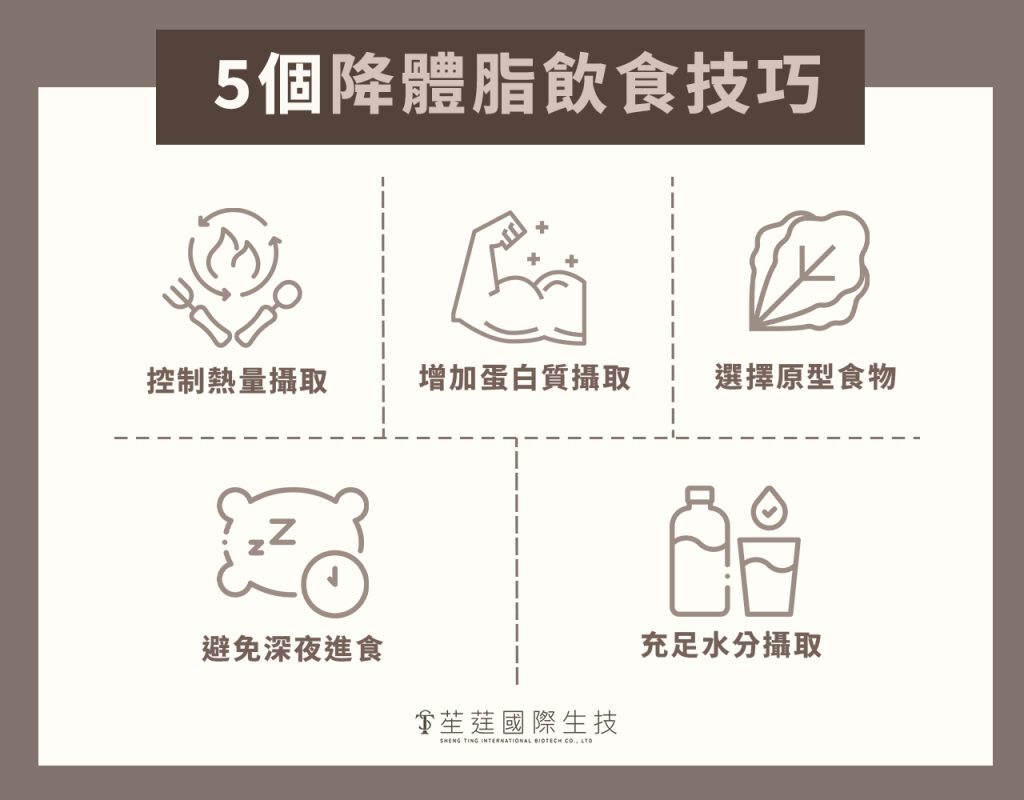 降體脂飲食技巧