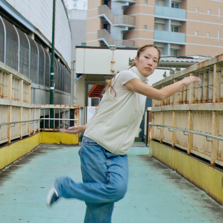 NIKKOR Z 28-135mm f/4 PZ