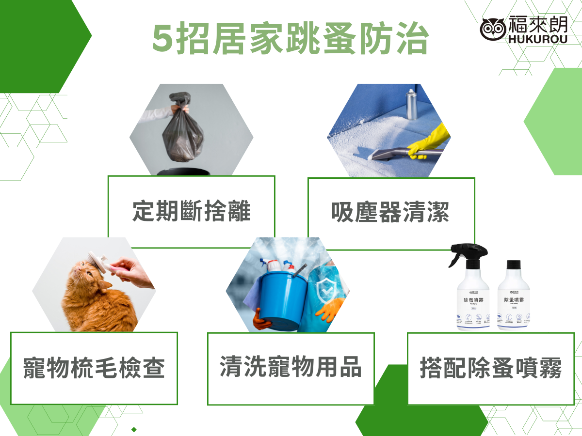 定期斷捨離、吸塵器清潔、寵物梳毛檢、查清洗寵物用具、搭配除蚤噴霧