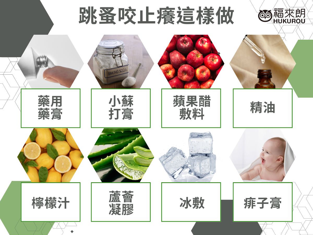 被跳蚤咬要擦什麼藥膏？跳蚤咬後常用的藥膏多含氫化可的松（止癢抗炎）、苯海拉明（抗過敏）、樟腦或薄荷醇（清涼舒緩）；若傷口已抓破，則建議使用含氧化鋅或抗生素成分的藥膏預防感染。被跳蚤咬後想要止癢，可以優先考慮曼秀雷敦、萬金油等等家庭常見藥膏，或是以下舒緩跳蚤咬的妙方，重點是千萬不要抓傷口！