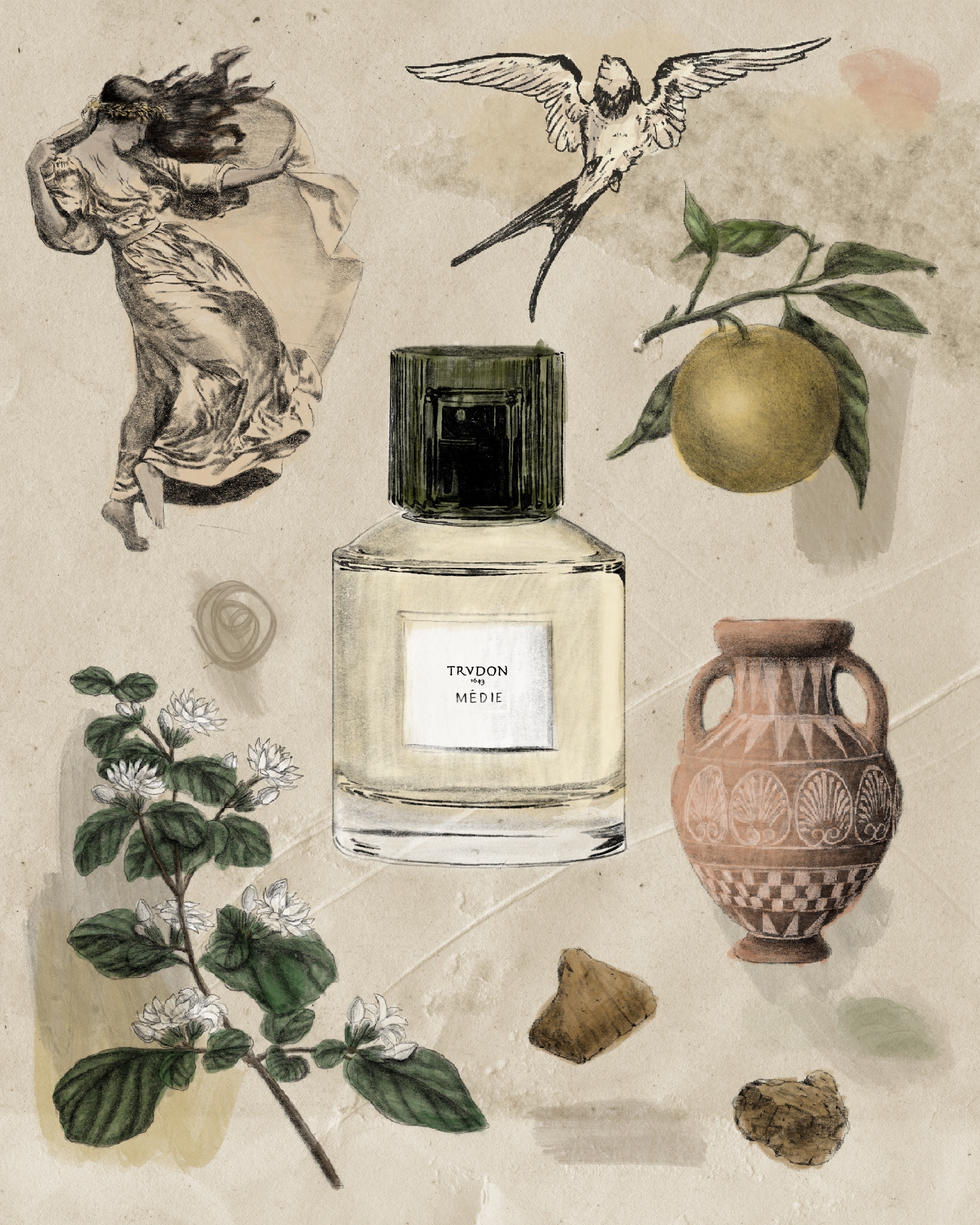 Médie - Perfumes | TRUDON