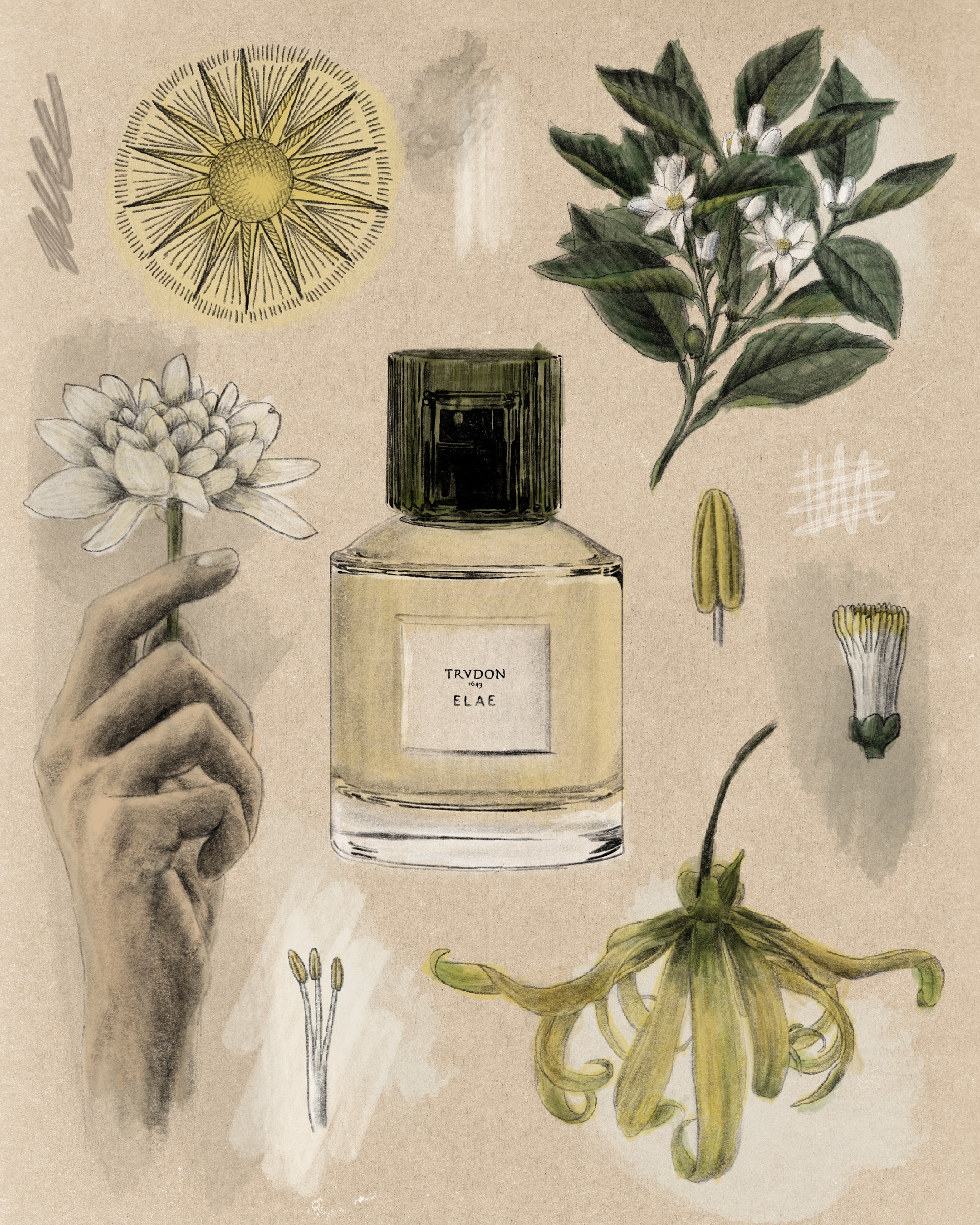 【驚きの値段で】 Cire Ritual 1893 香水/香精l Elae Trudon 香水(ユニセックス)