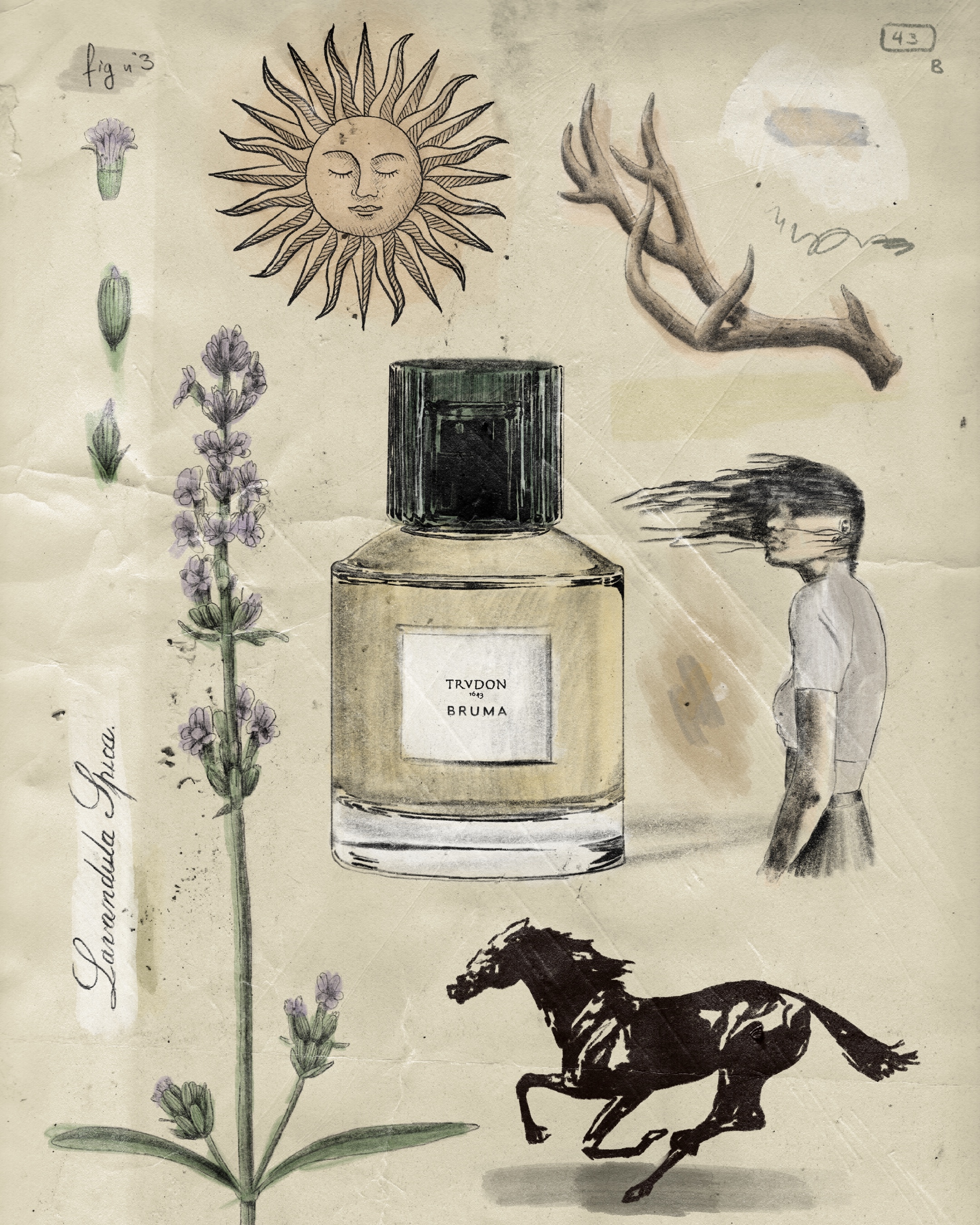 Trudon Bruma 布露瑪 香精