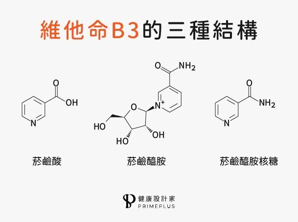 維他命b3的3種結構
