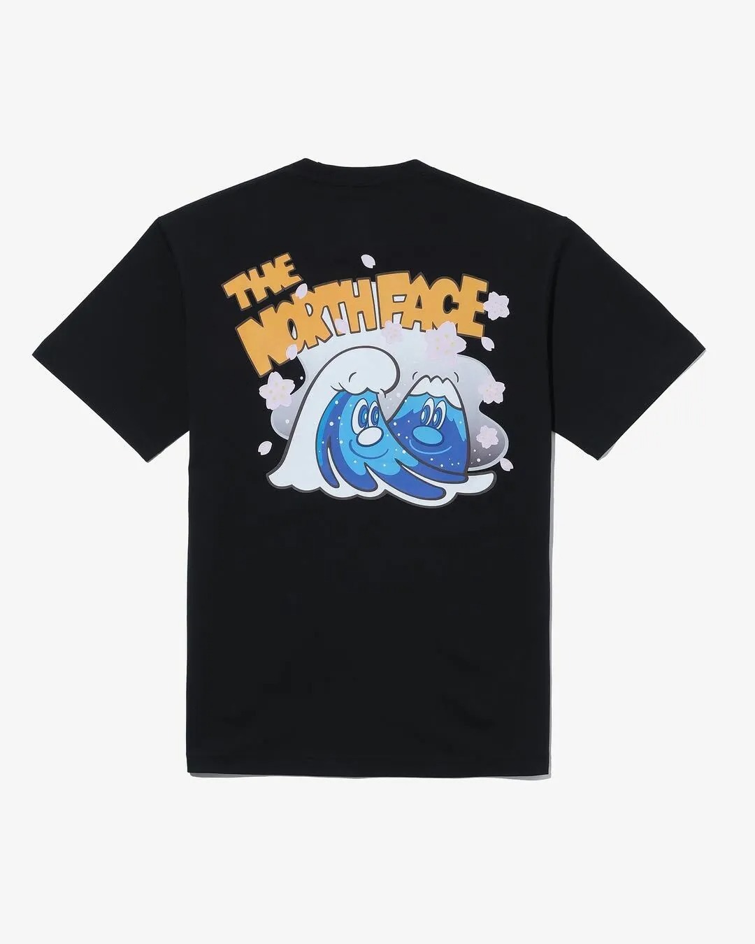 2025SS 日版 THE NORTH FACE S/S JPN Graphic Tee 背後 富士山 插畫 短T 現貨 NT12564R