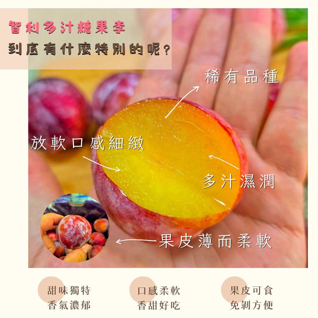 智利糖果李、蜜杏李、甜李、蜜棗李