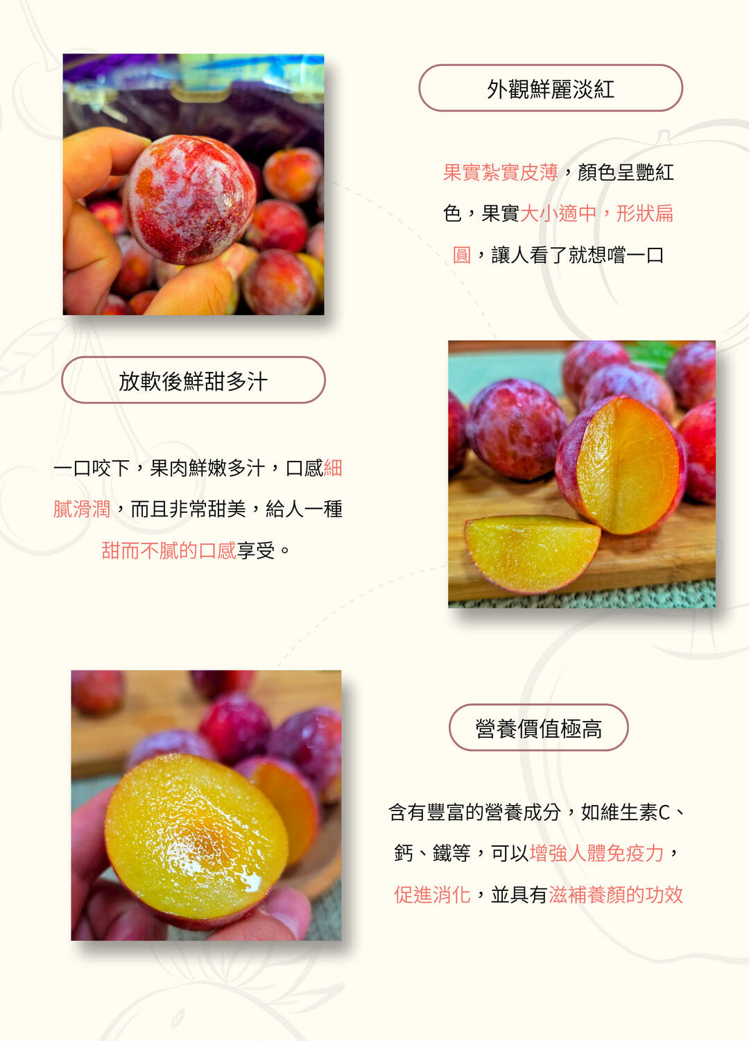 智利糖果李、蜜杏李、甜李、蜜棗李