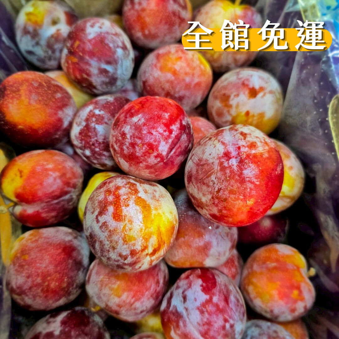 智利糖果李、蜜杏李、甜李、蜜棗李