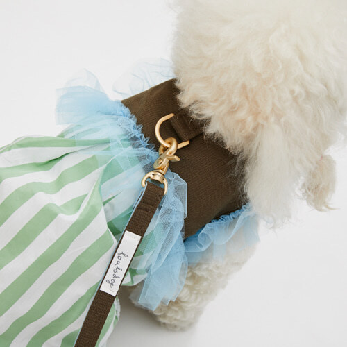 Louisdog 法式蕾絲摩卡胸背牽繩組