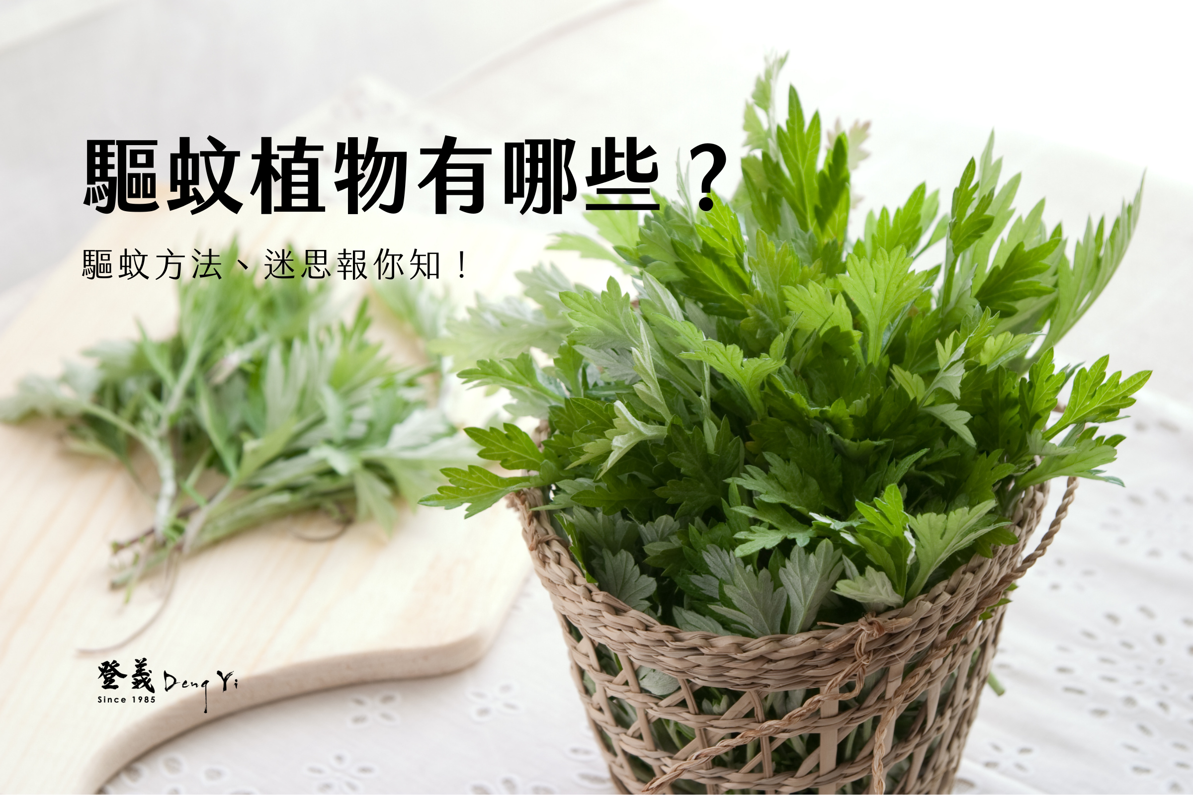 驅蚊植物有哪些？驅蚊方法、迷思報你知！