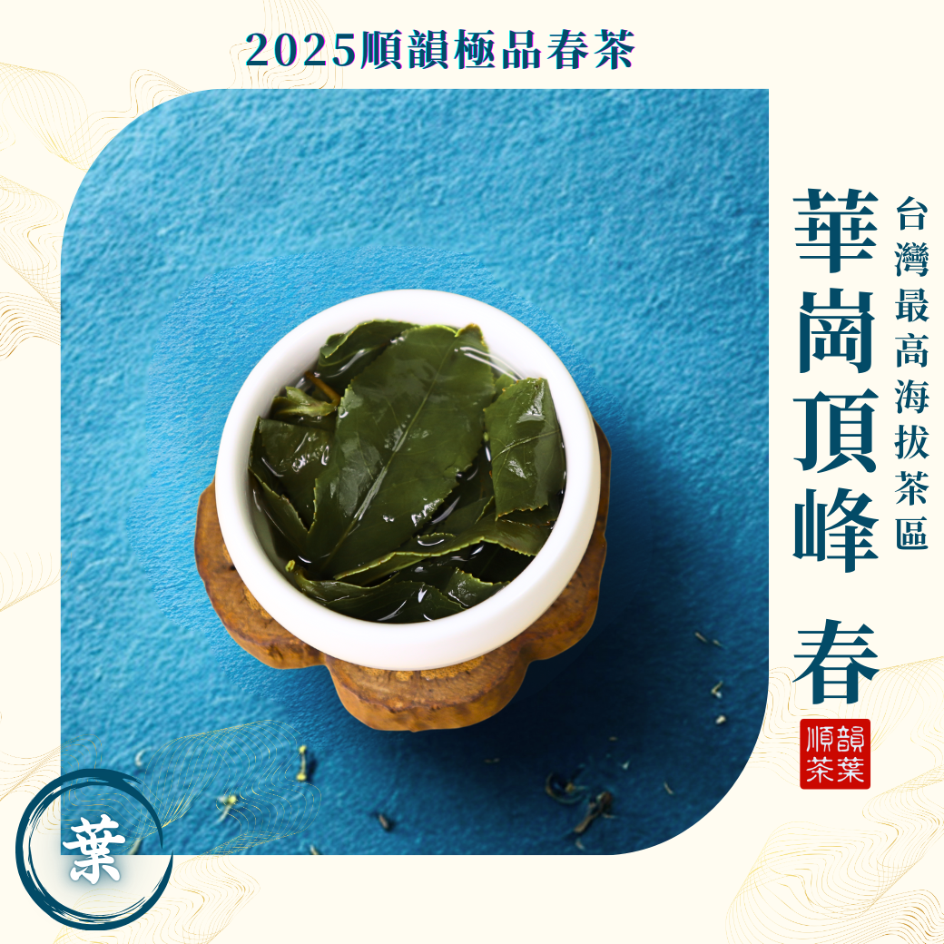 順韻茶葉】華崗頂峰春