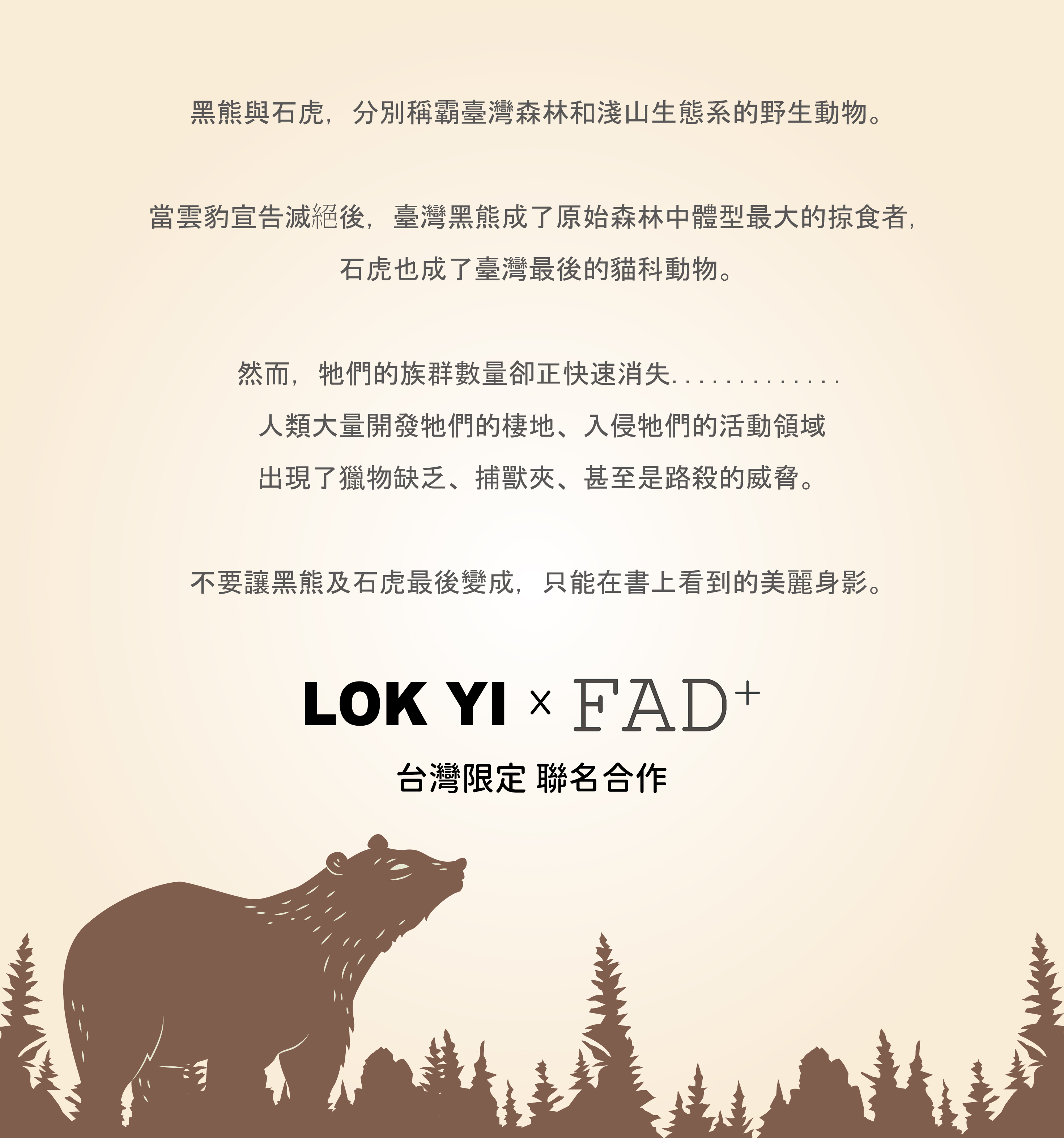 寵物玩具 台灣黑熊