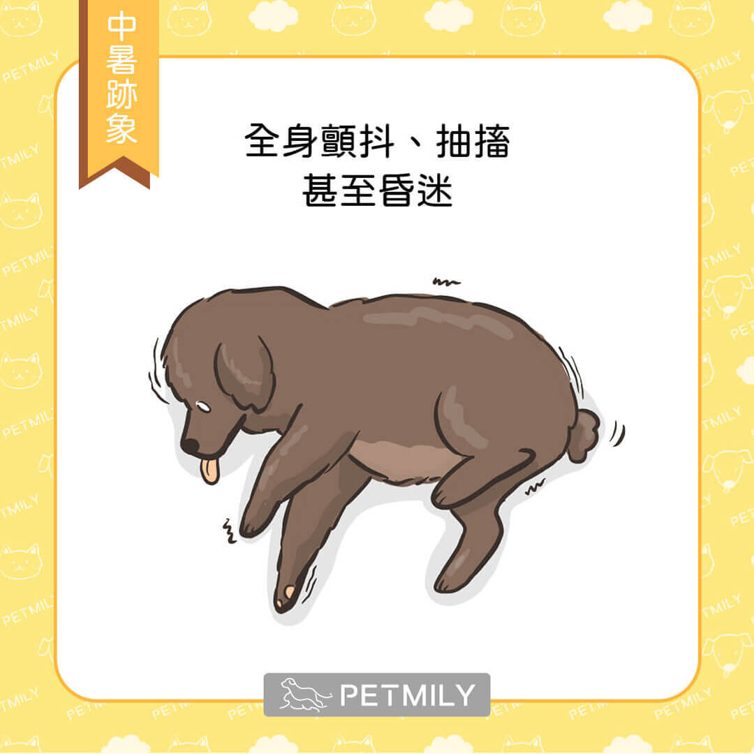 全身顫抖、抽搐，甚至昏迷