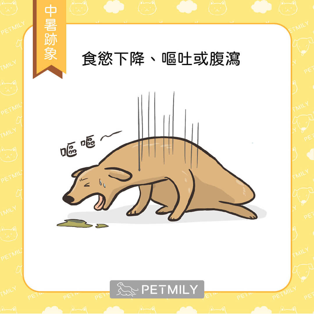 食慾下降、嘔吐或腹瀉