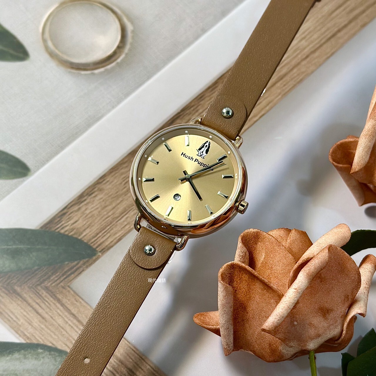 【Hush Puppies】HP.3802L.2505 36mm Modern Watch