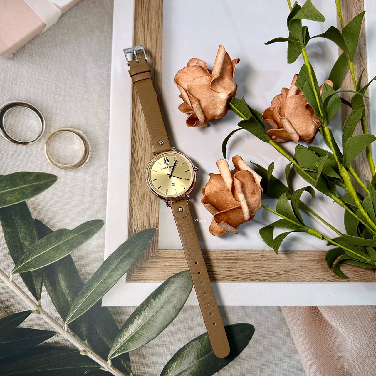 【Hush Puppies】HP.3802L.2505 36mm Modern Watch