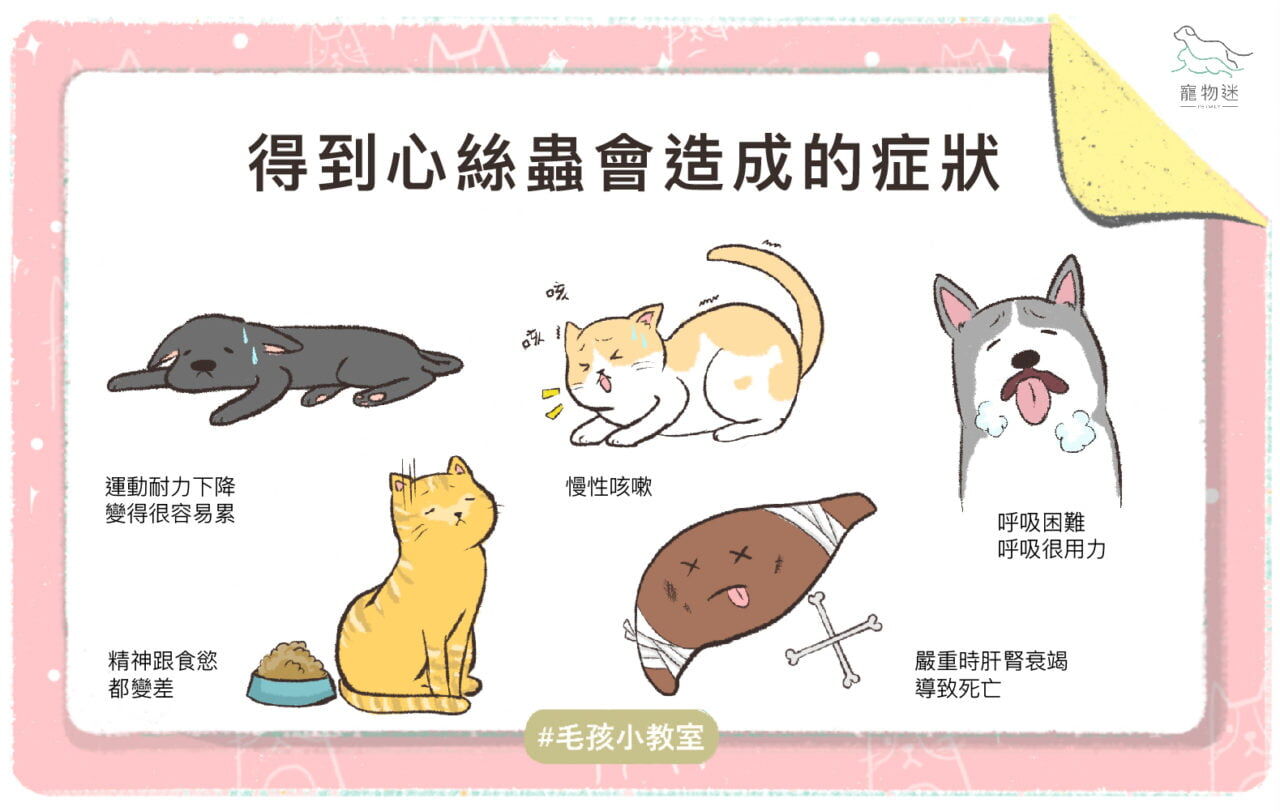 春夏馨絲蟲預防