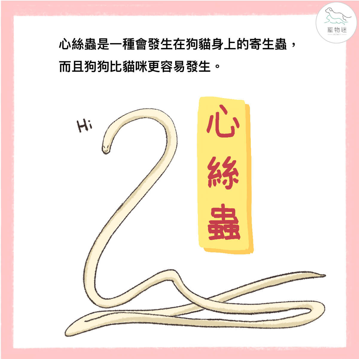 甚麼是心絲蟲