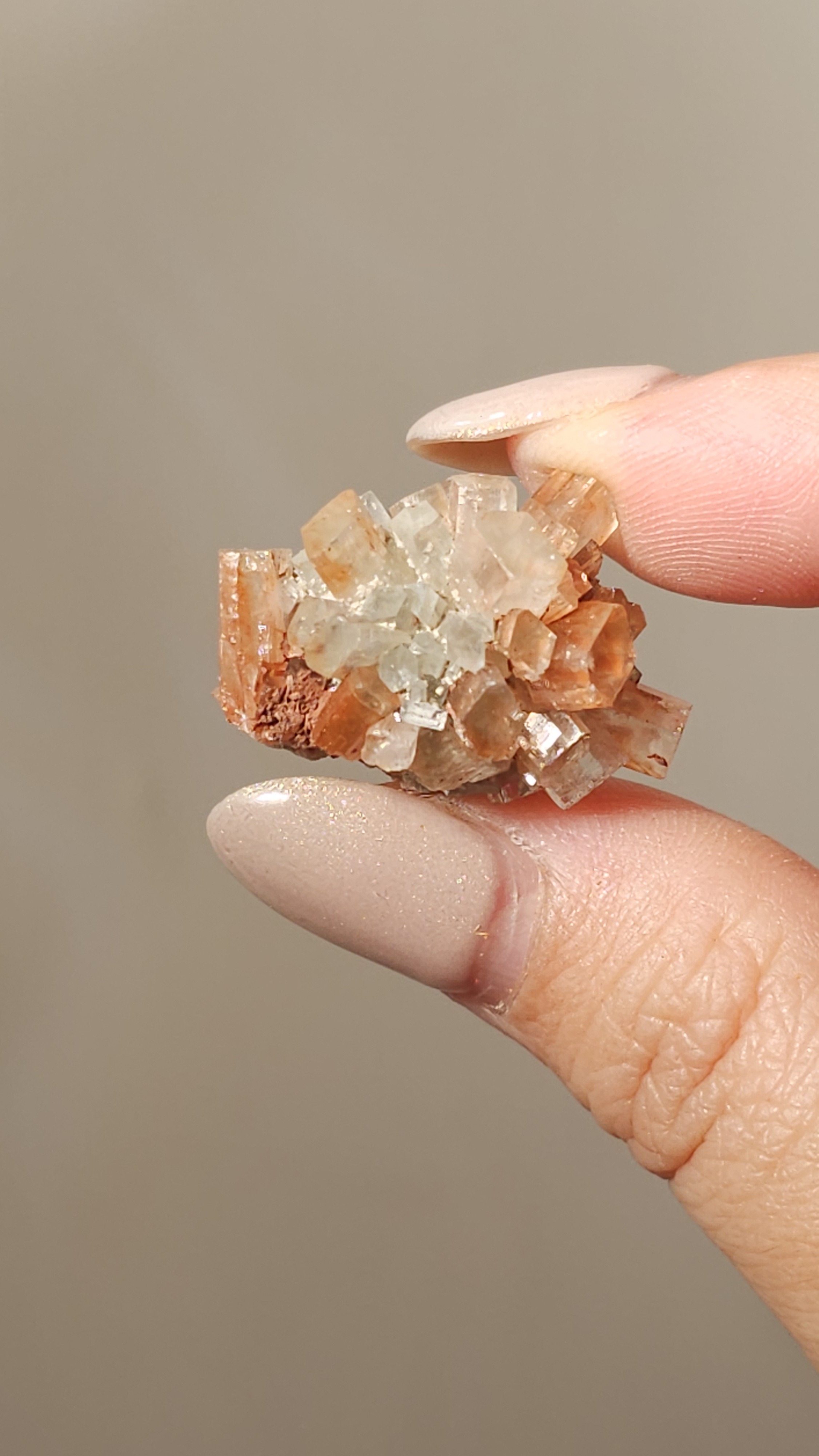 雙色小病毒霰石 #165