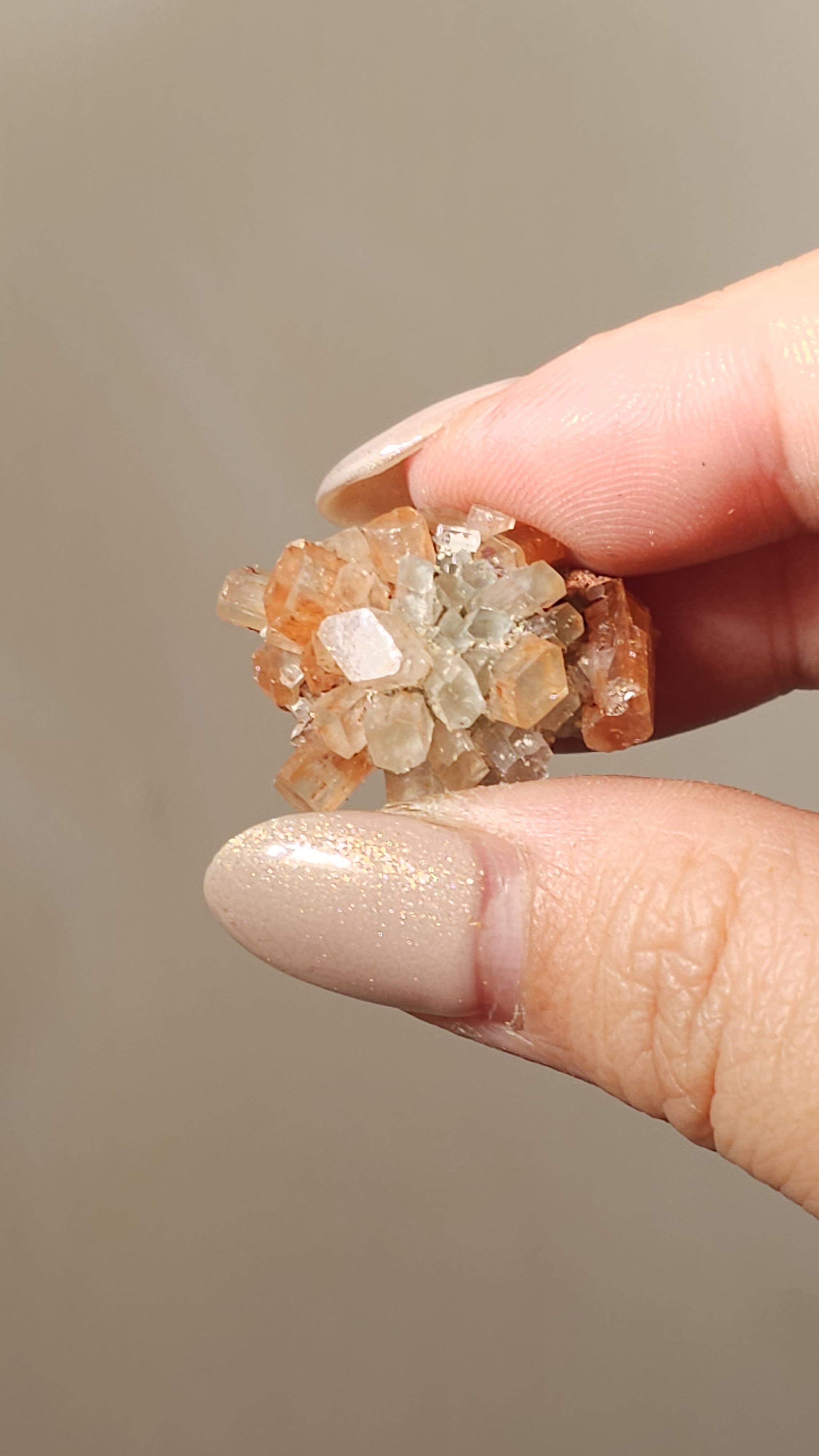 雙色小病毒霰石 #165