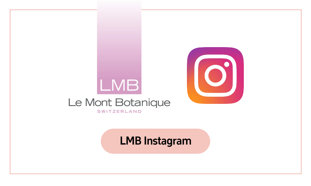 LMB instagram