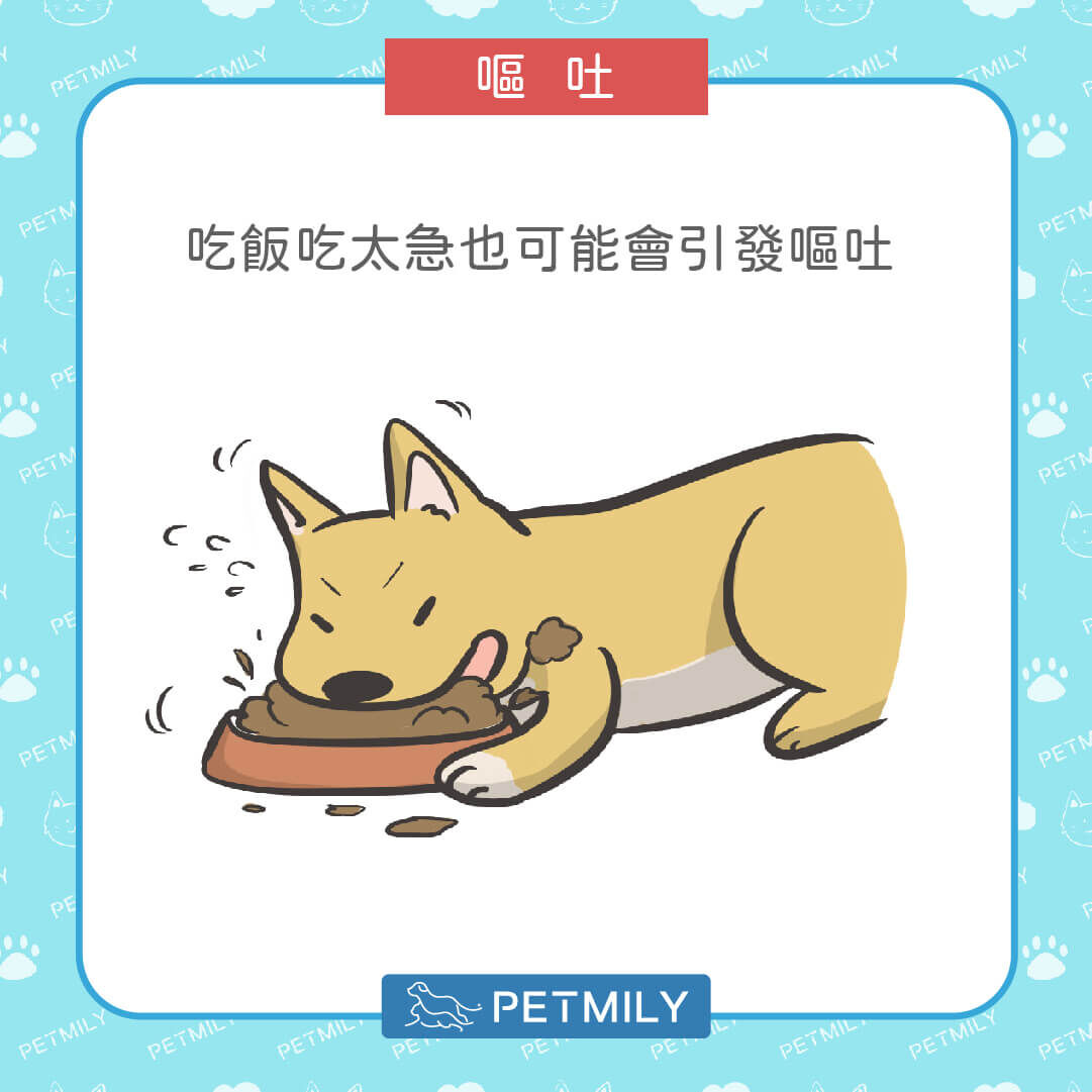 吃太快導致嘔吐