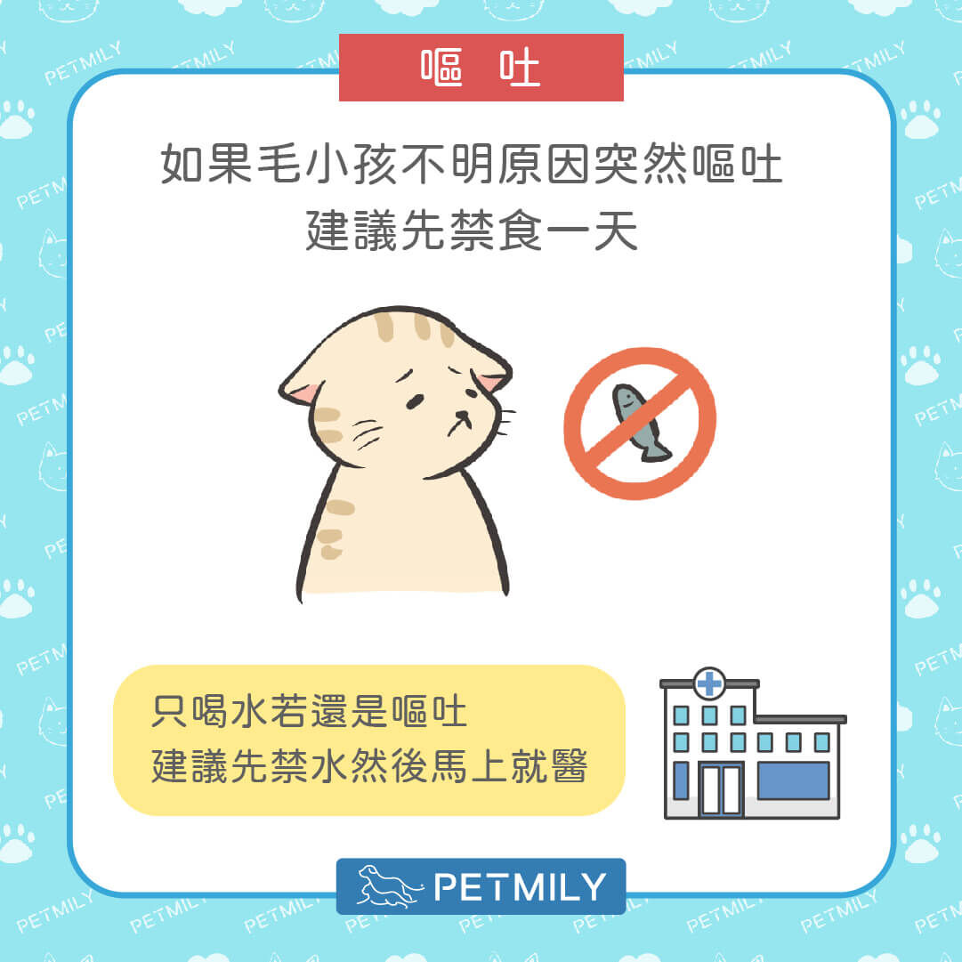 如嘔吐持續或伴隨精神不濟，建議儘早送醫評估。