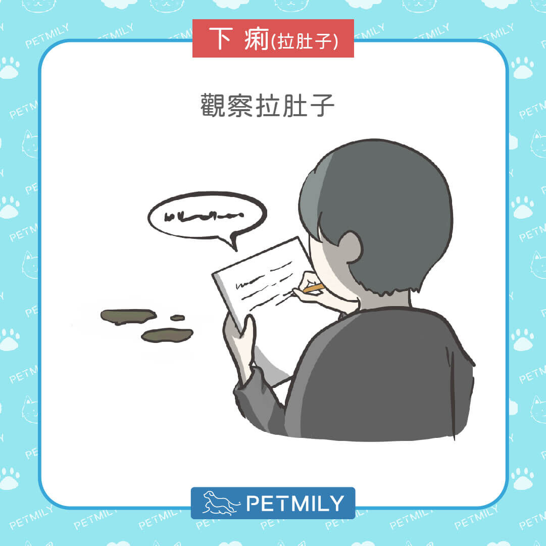 先觀察糞便形態與次數