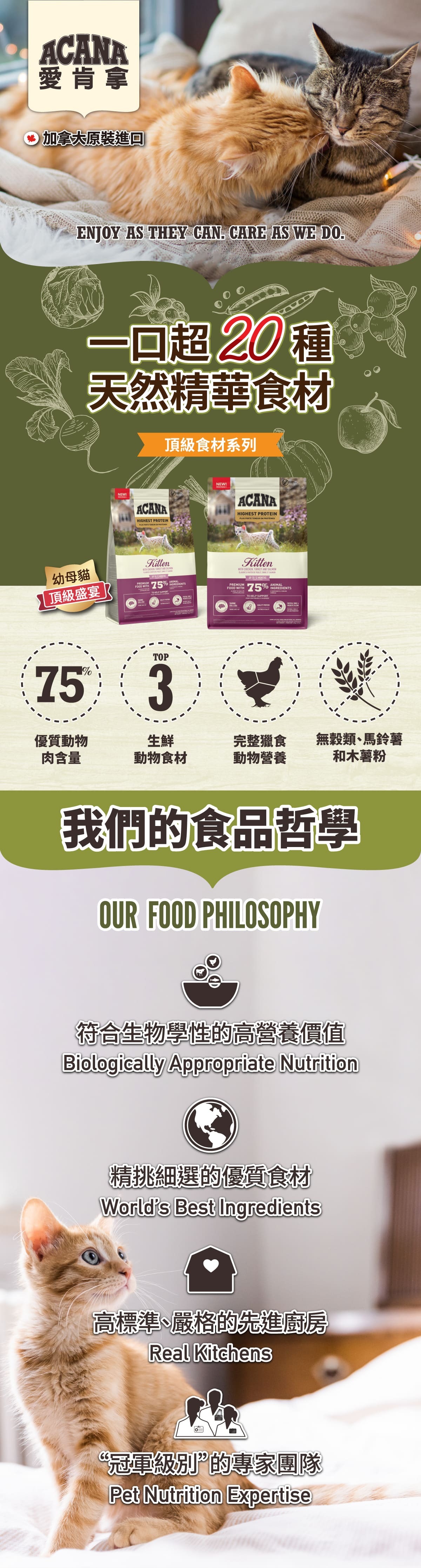 高蛋白幼貓-無穀-貓飼料-愛肯拿-ACANA