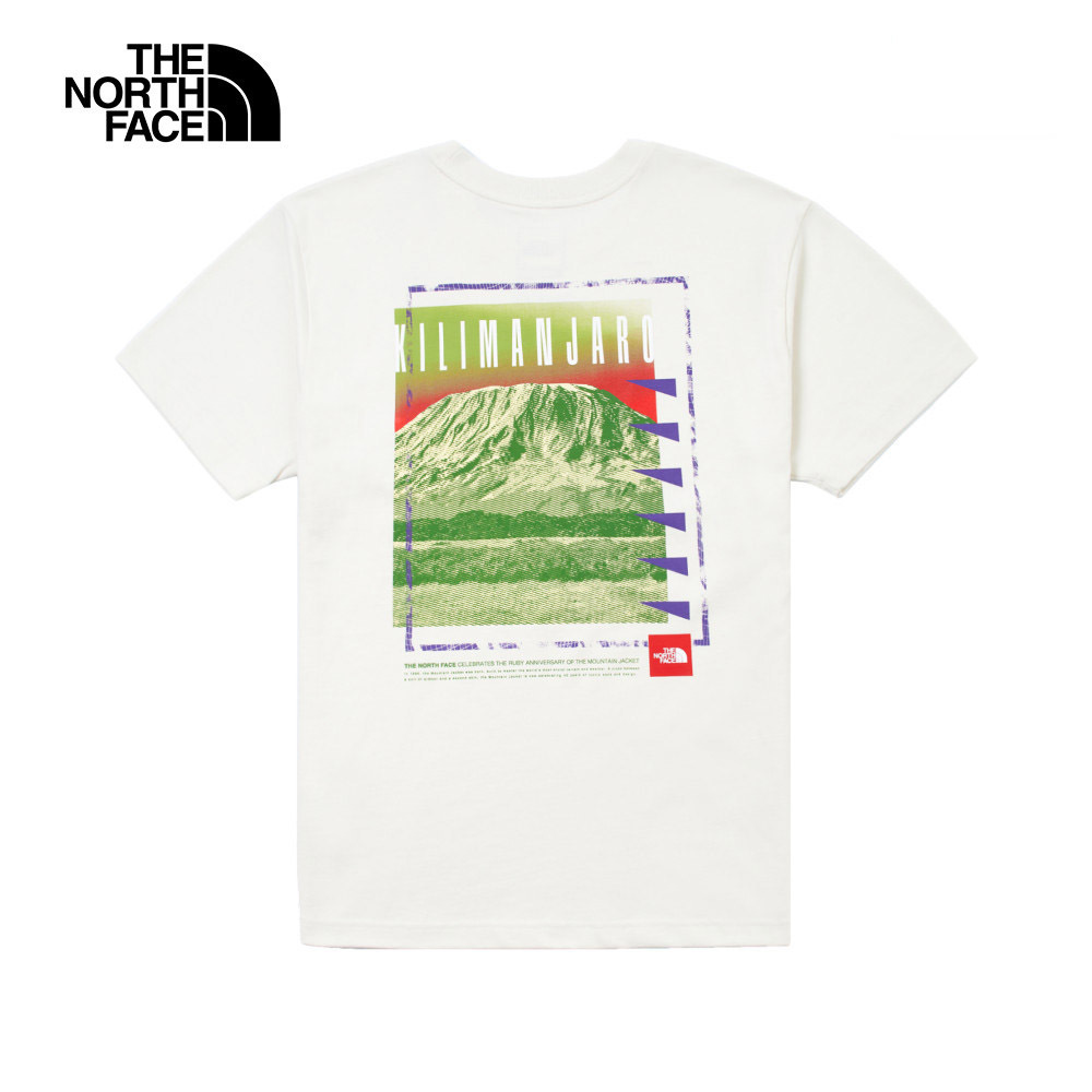 The North Face - 男裝重磅Tee恤