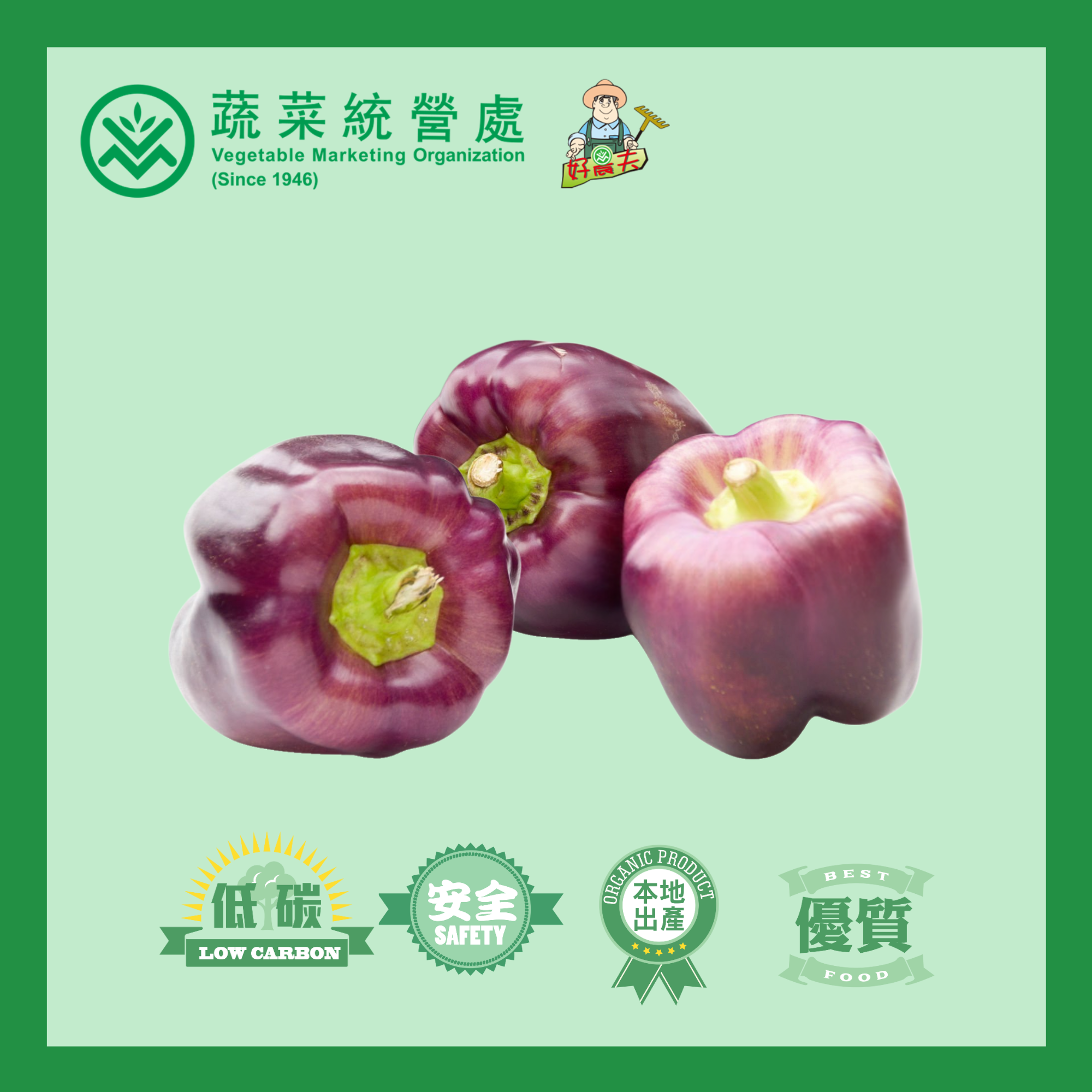 Local Organic Sweet Pepper（purple）
