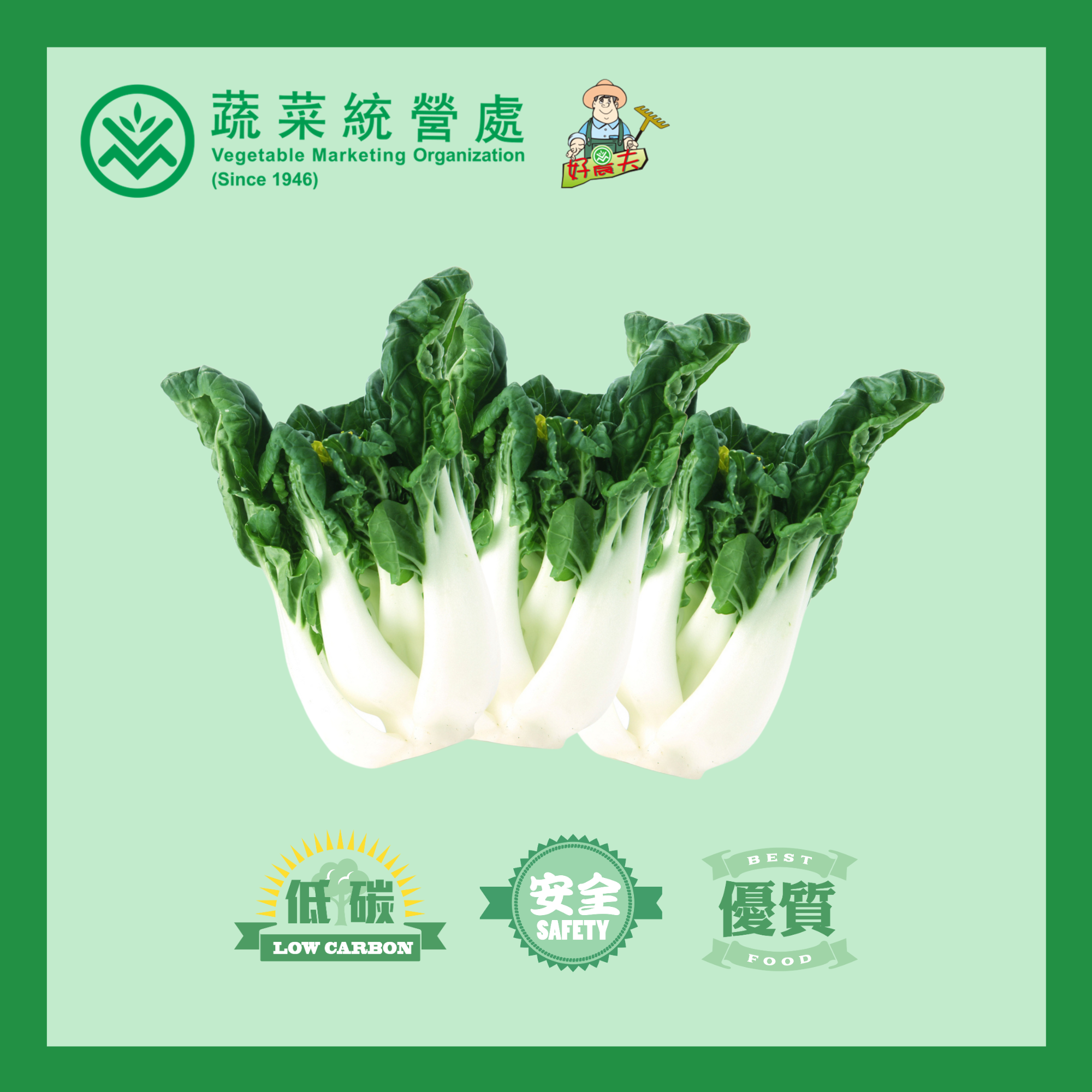 信譽白菜仔 (斤)