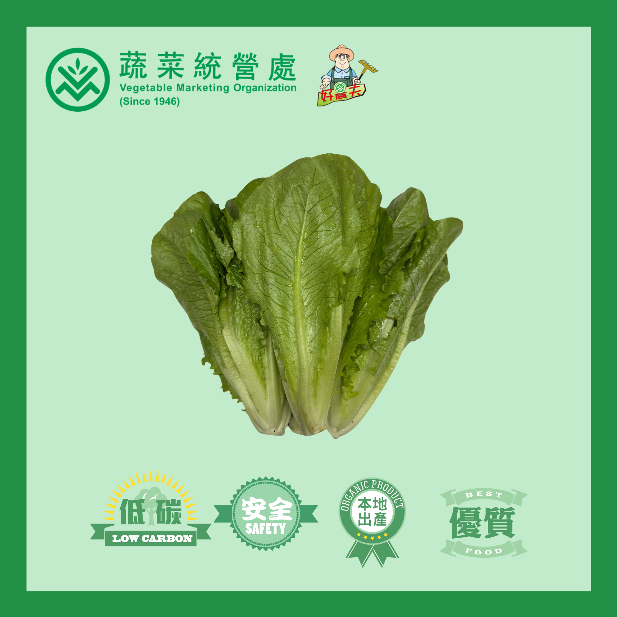 本地有機羅馬生菜 (包)