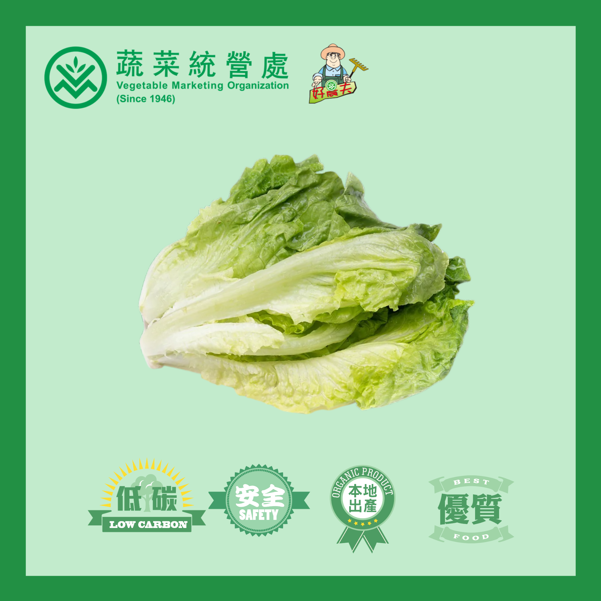 本地有機意大利生菜 (斤)